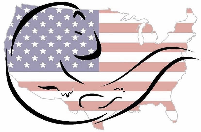Otter Hockey USA